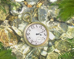 Водонепроницаемые наручные часы